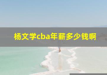 杨文学cba年薪多少钱啊