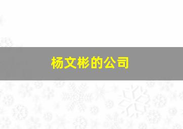 杨文彬的公司