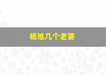 杨旭几个老婆