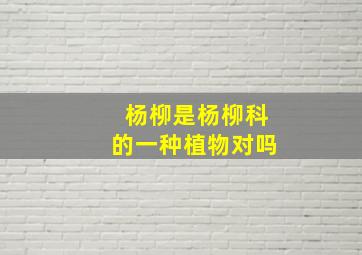 杨柳是杨柳科的一种植物对吗