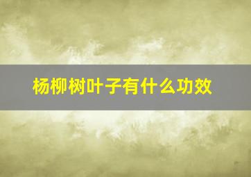 杨柳树叶子有什么功效