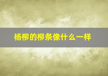 杨柳的柳条像什么一样