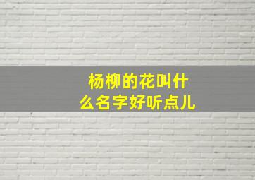 杨柳的花叫什么名字好听点儿