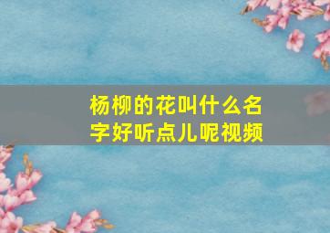 杨柳的花叫什么名字好听点儿呢视频