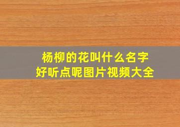 杨柳的花叫什么名字好听点呢图片视频大全