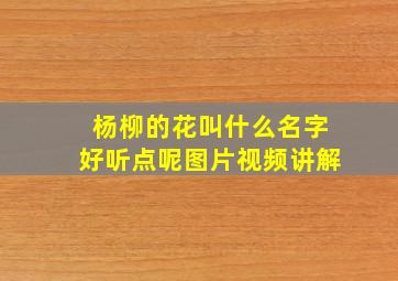 杨柳的花叫什么名字好听点呢图片视频讲解