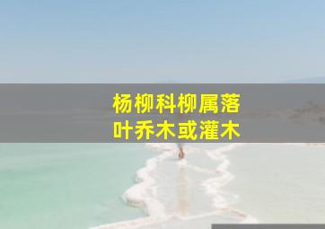 杨柳科柳属落叶乔木或灌木