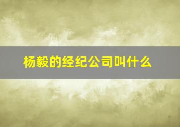 杨毅的经纪公司叫什么