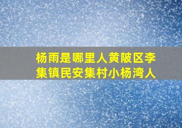 杨雨是哪里人黄陂区李集镇民安集村小杨湾人