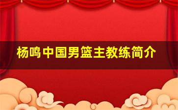 杨鸣中国男篮主教练简介