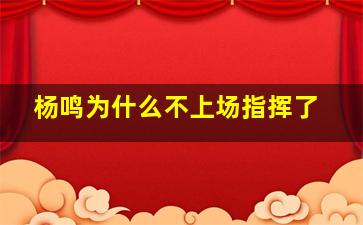 杨鸣为什么不上场指挥了