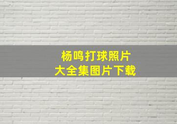 杨鸣打球照片大全集图片下载