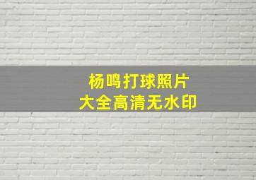 杨鸣打球照片大全高清无水印