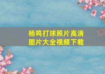 杨鸣打球照片高清图片大全视频下载