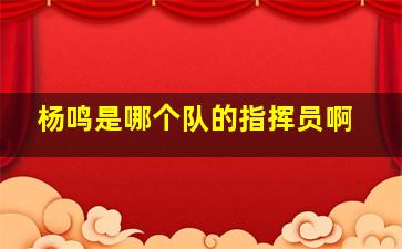 杨鸣是哪个队的指挥员啊