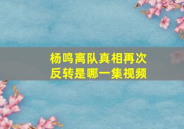 杨鸣离队真相再次反转是哪一集视频