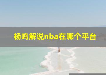 杨鸣解说nba在哪个平台