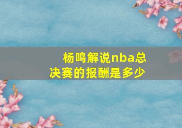 杨鸣解说nba总决赛的报酬是多少