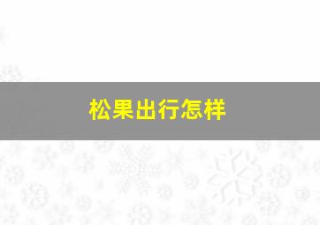 松果出行怎样