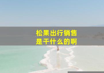 松果出行销售是干什么的啊