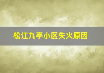 松江九亭小区失火原因