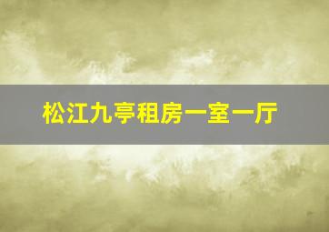 松江九亭租房一室一厅