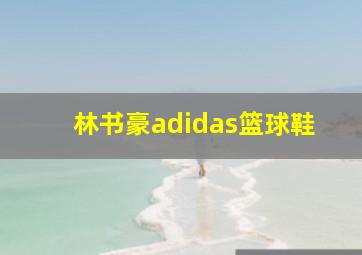 林书豪adidas篮球鞋