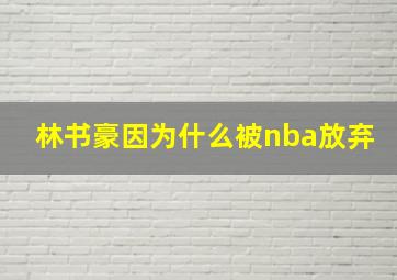 林书豪因为什么被nba放弃