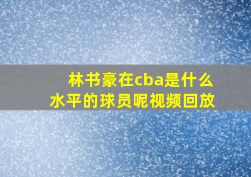 林书豪在cba是什么水平的球员呢视频回放