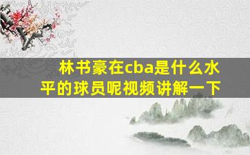 林书豪在cba是什么水平的球员呢视频讲解一下