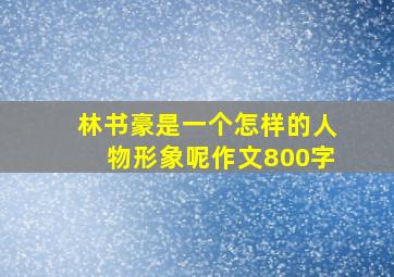 林书豪是一个怎样的人物形象呢作文800字