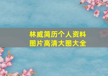 林威简历个人资料图片高清大图大全