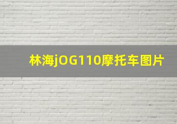 林海jOG110摩托车图片