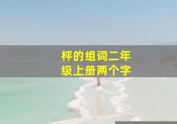 枰的组词二年级上册两个字