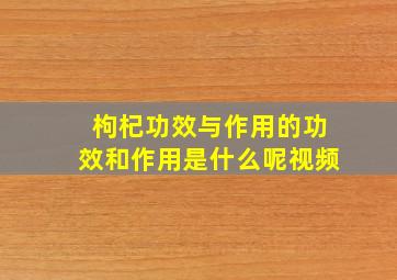 枸杞功效与作用的功效和作用是什么呢视频