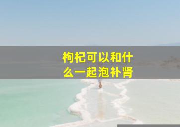 枸杞可以和什么一起泡补肾