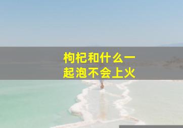 枸杞和什么一起泡不会上火