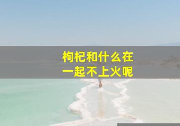 枸杞和什么在一起不上火呢