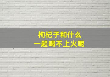 枸杞子和什么一起喝不上火呢