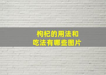 枸杞的用法和吃法有哪些图片