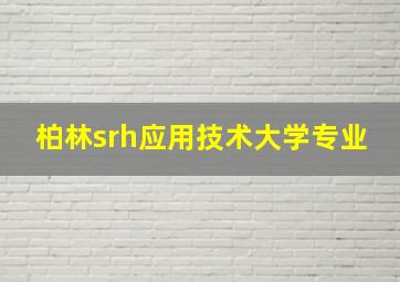 柏林srh应用技术大学专业