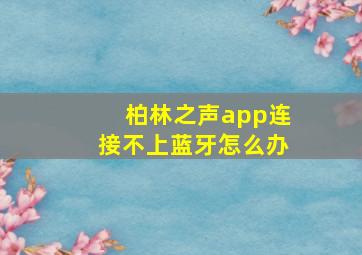 柏林之声app连接不上蓝牙怎么办