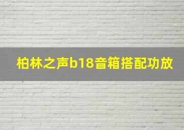 柏林之声b18音箱搭配功放