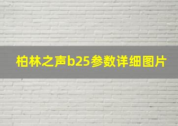 柏林之声b25参数详细图片