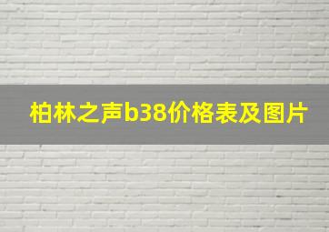 柏林之声b38价格表及图片