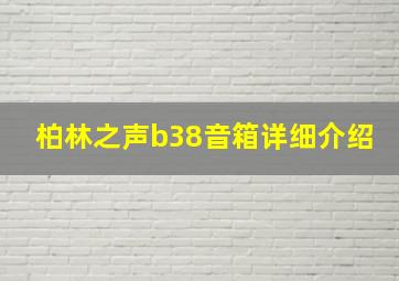 柏林之声b38音箱详细介绍