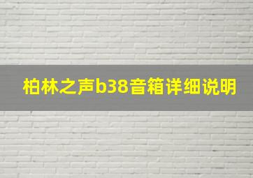 柏林之声b38音箱详细说明