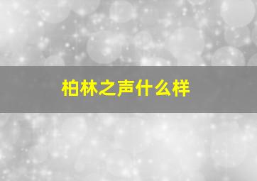 柏林之声什么样