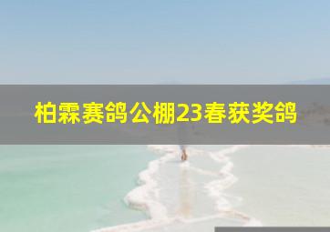 柏霖赛鸽公棚23春获奖鸽