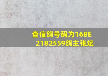 查信鸽号码为16BE2182559鸽主张斌